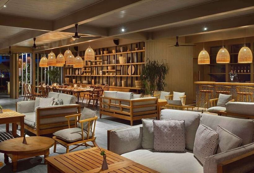 Hôtel Steigenberger Resort Alaya   Adults Friendly 16 Years Plus