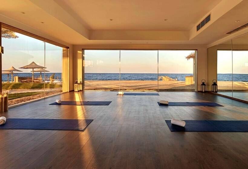 Hôtel Steigenberger Resort Alaya   Adults Friendly 16 Years Plus