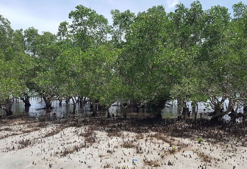 בית מלון כפרי Talikud Island Mangrove Beach Resort