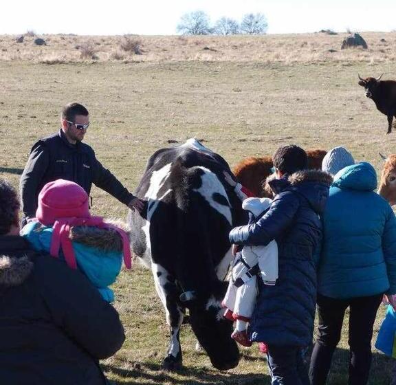 Agroturismo El Mirador De La Cigüeña