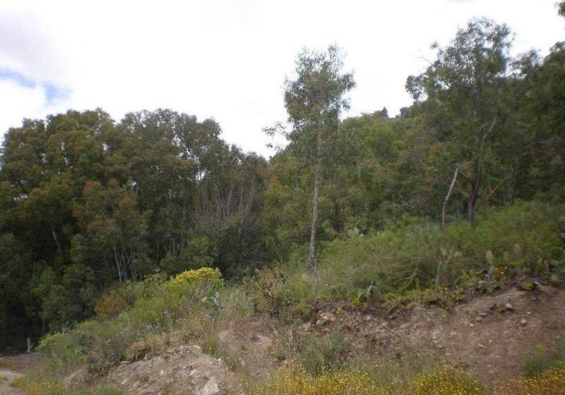 Casa Rural Las Caldereras