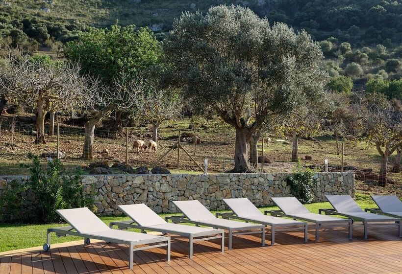 교외 호텔 Agroturismo S'arboçar