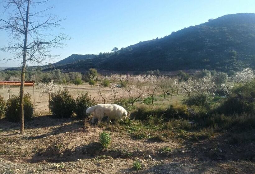 בית מלון כפרי Espai Natural La Comanglora