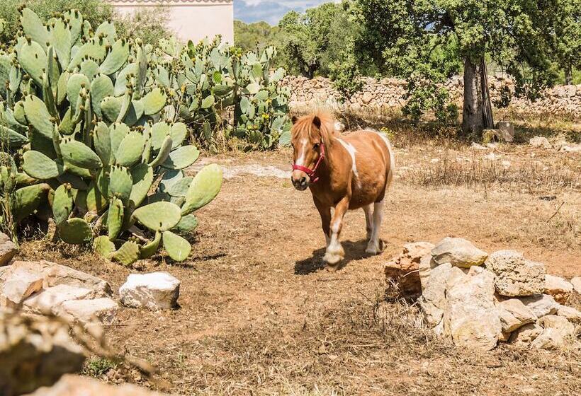 교외 호텔 Finca Agroturismo Sa Cova Den Borino