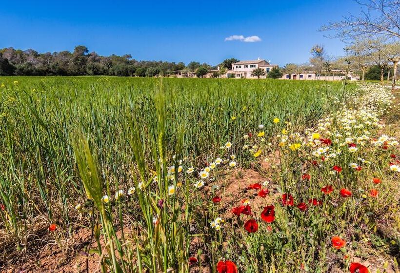 교외 호텔 Finca Agroturismo Sa Cova Den Borino