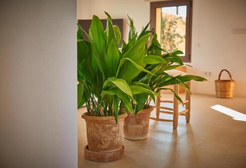 هتل روستایی Son Capellot