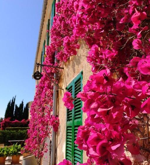 هتل روستایی Son Capellot