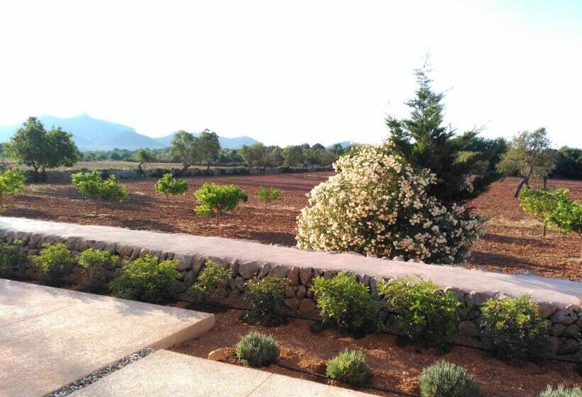 هتل روستایی Son Capellot