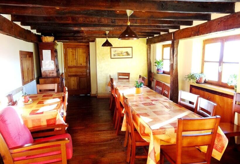 La Perezosa & Yoga   Hostel