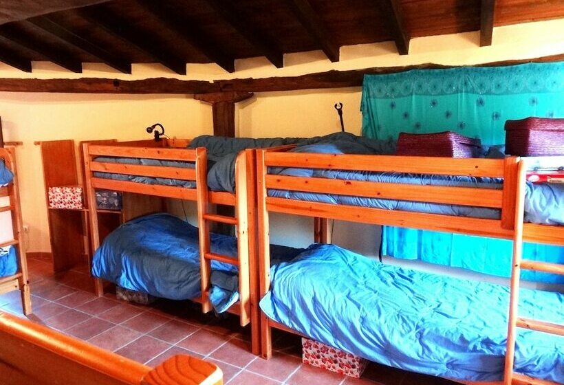 La Perezosa & Yoga   Hostel