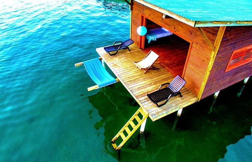 Общежитие The Sea Monkey