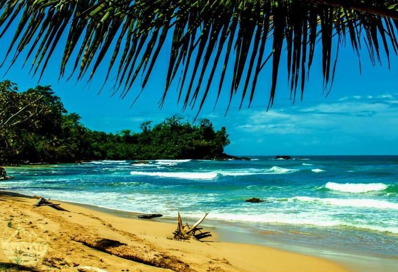 Общежитие The Sea Monkey