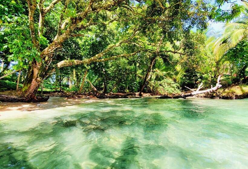 Общежитие The Sea Monkey