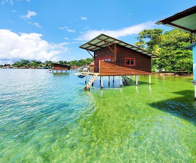 Общежитие The Sea Monkey