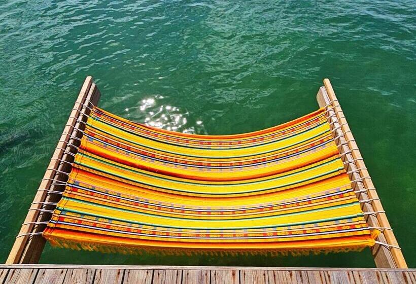 Общежитие The Sea Monkey