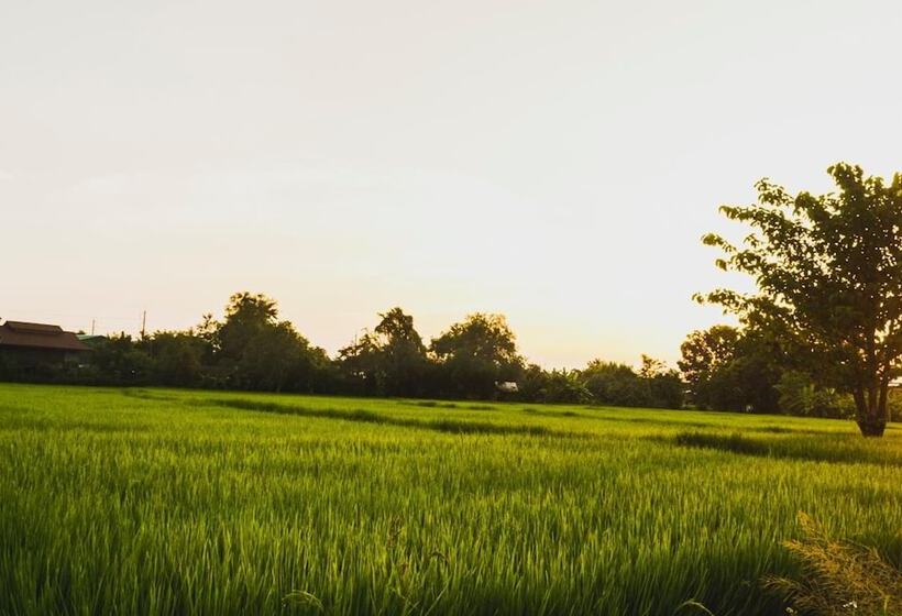 فندق Bannkrithamed Chiangmai