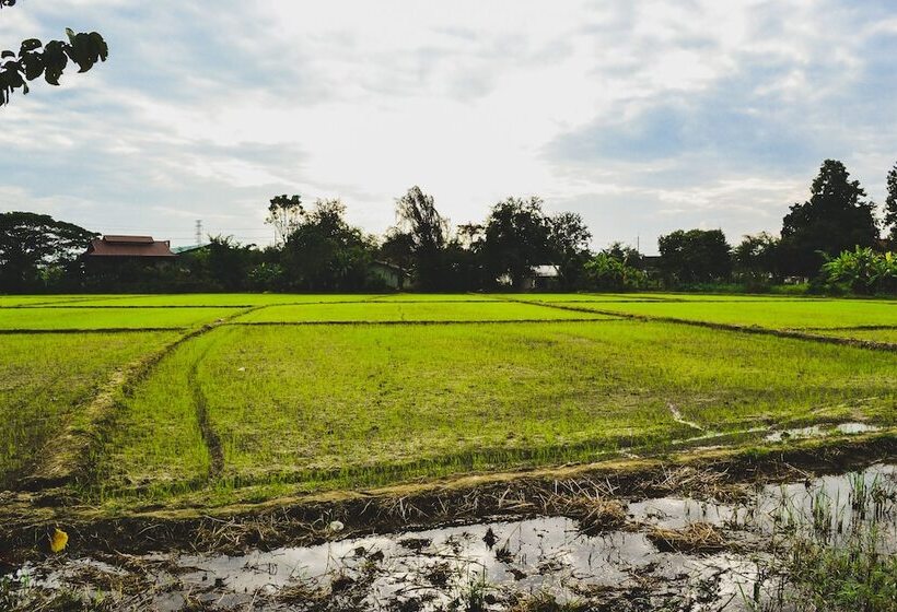 فندق Bannkrithamed Chiangmai