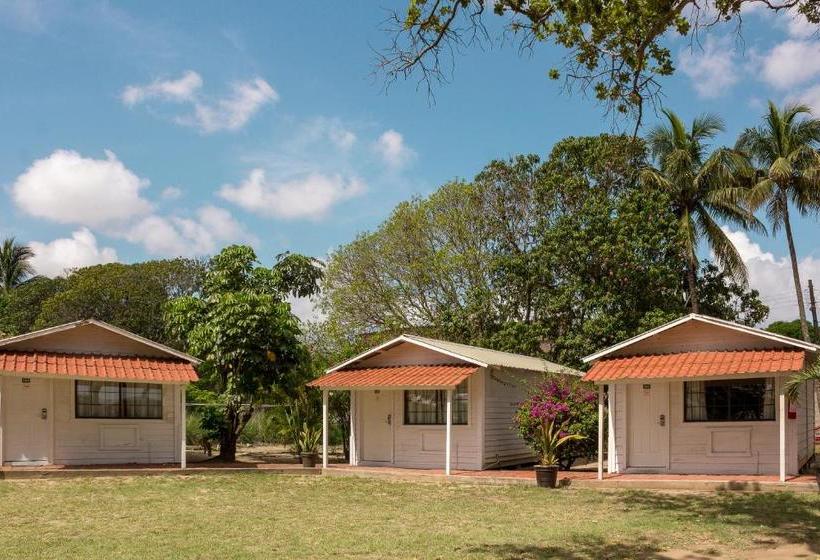 هتل Bonitto Inn® Tampico Altamira