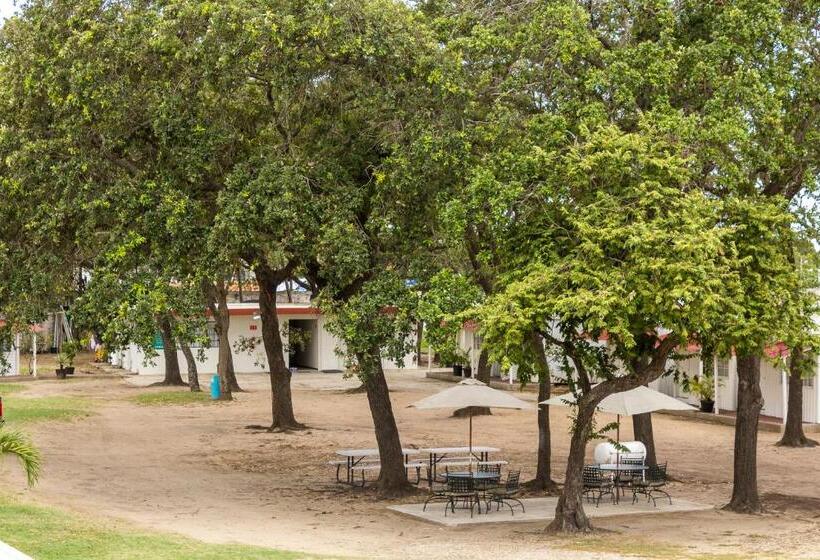 هتل Bonitto Inn® Tampico Altamira