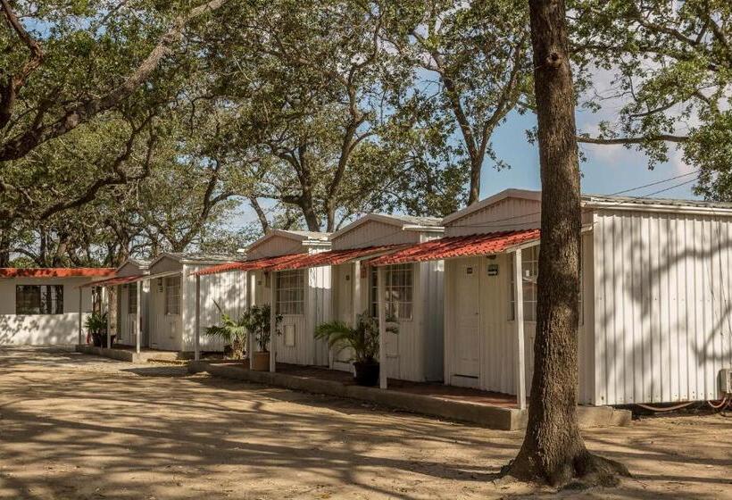 هتل Bonitto Inn® Tampico Altamira