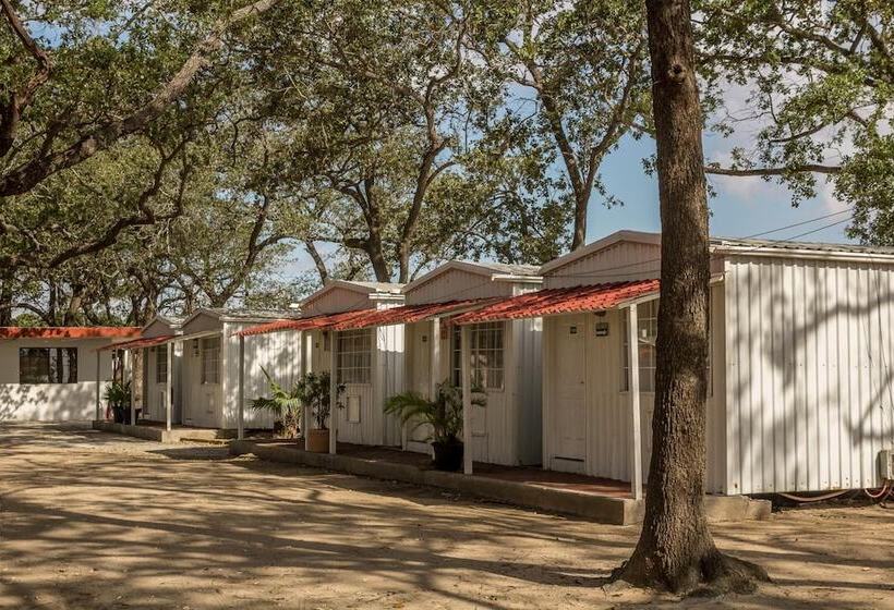 هتل Bonitto Inn® Tampico Altamira