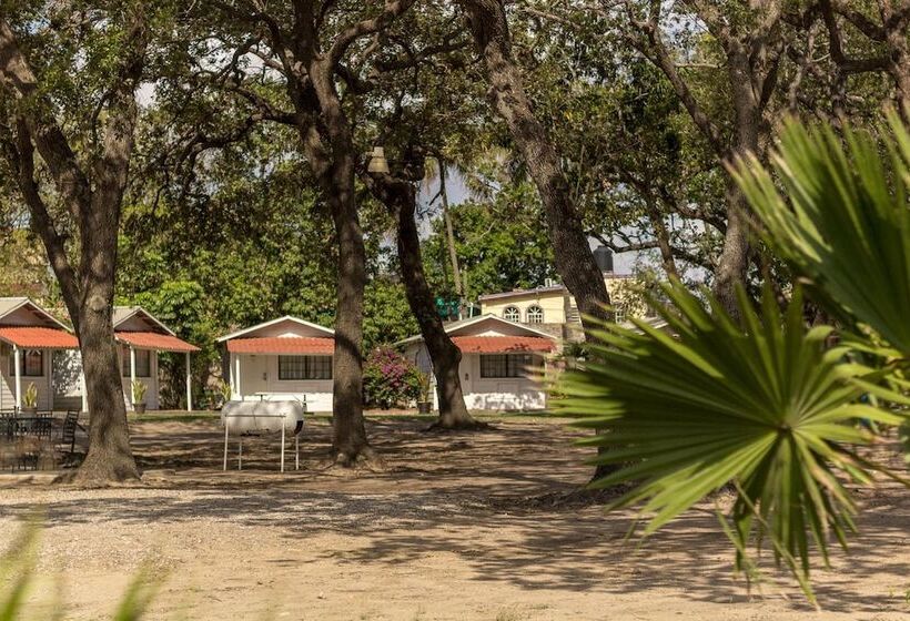 هتل Bonitto Inn® Tampico Altamira