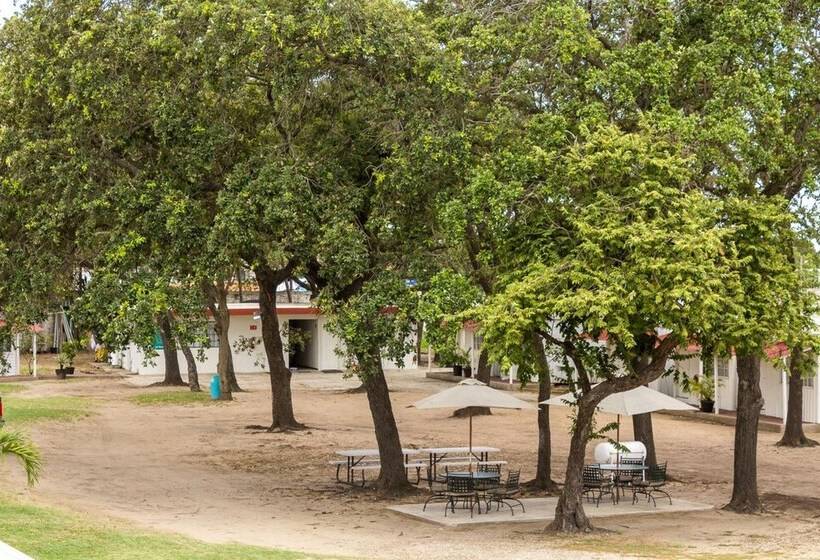 هتل Bonitto Inn® Tampico Altamira