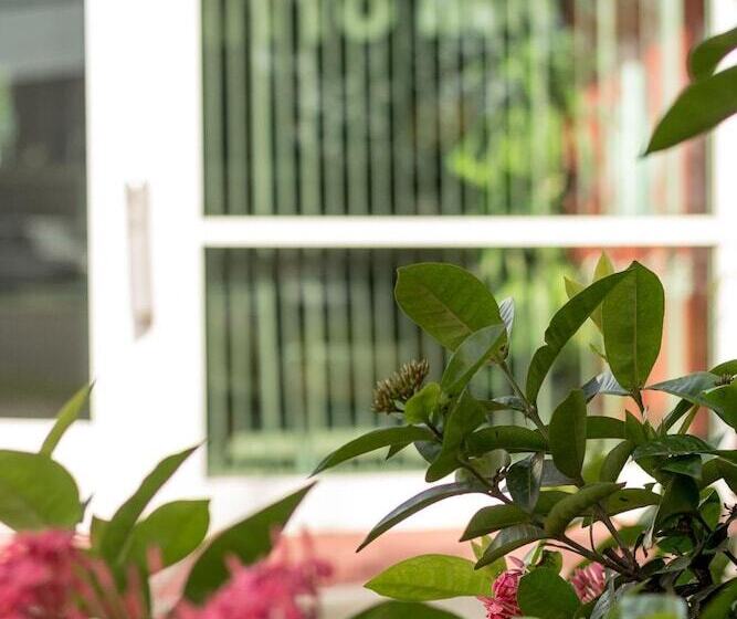 هتل Bonitto Inn® Tampico Altamira