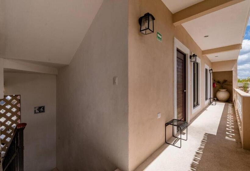 酒店 Colonial Zaci By Guru