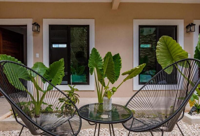 酒店 Colonial Zaci By Guru