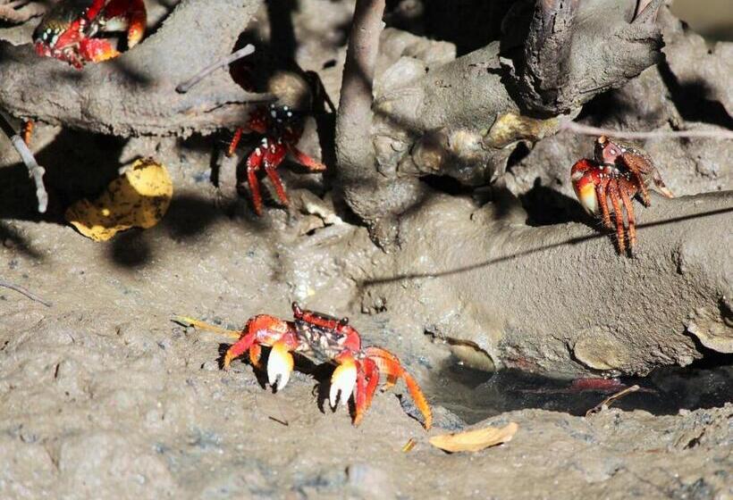 בית מלון כפרי Itaparica Praia