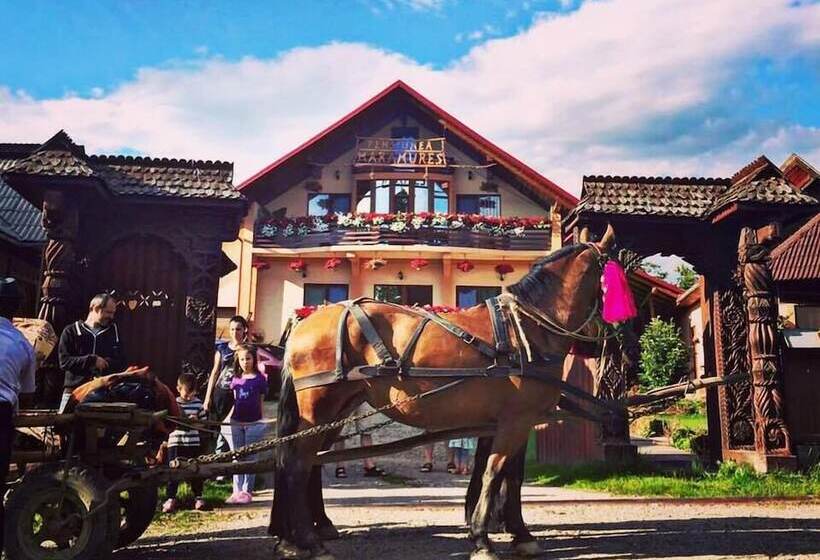 فندق ريفى Pensiuna Maramures Hoteni
