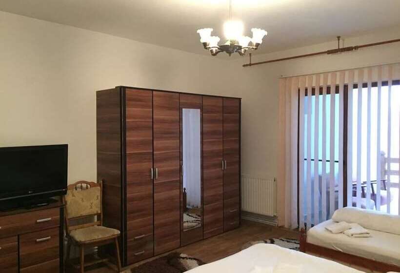 فندق ريفى Pensiuna Maramures Hoteni