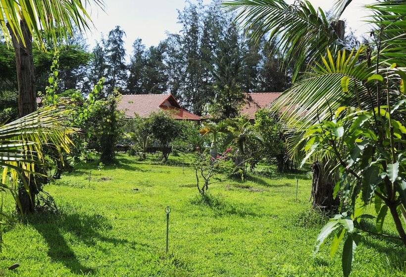 هتل Sky Star Beach Resort