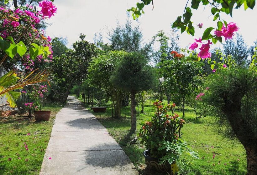 هتل Sky Star Beach Resort