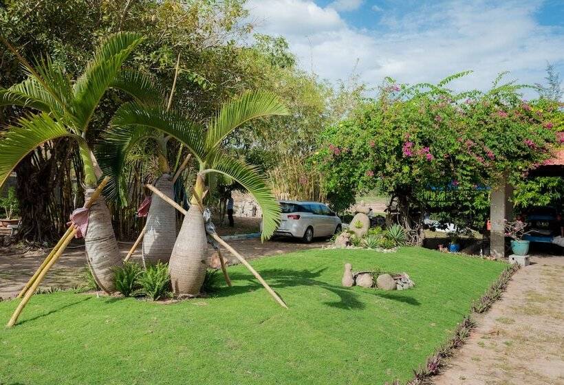 هتل Sky Star Beach Resort