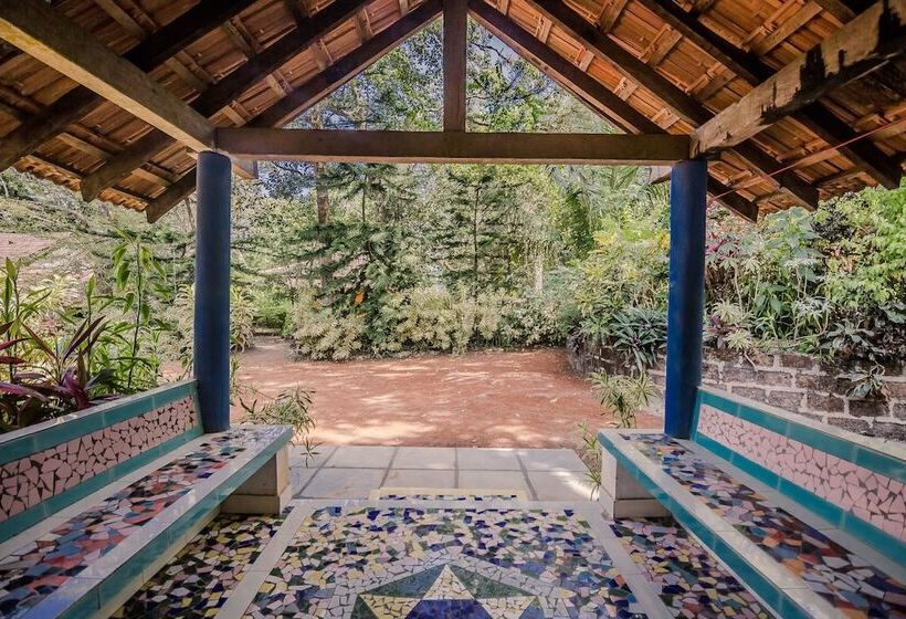 Oyo Home 19186 Antique 1bhk