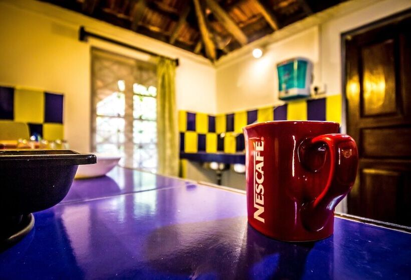 Oyo Home 19186 Antique 1bhk