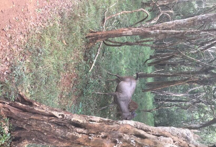 Пансион Ceylon Wilpattu Safaris & Lodging