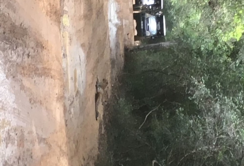 Пансион Ceylon Wilpattu Safaris & Lodging