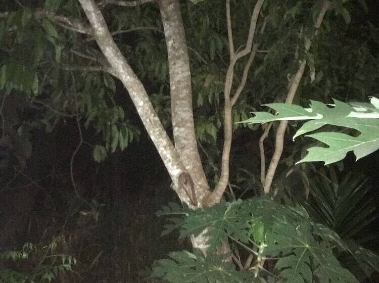 Пансион Ceylon Wilpattu Safaris & Lodging