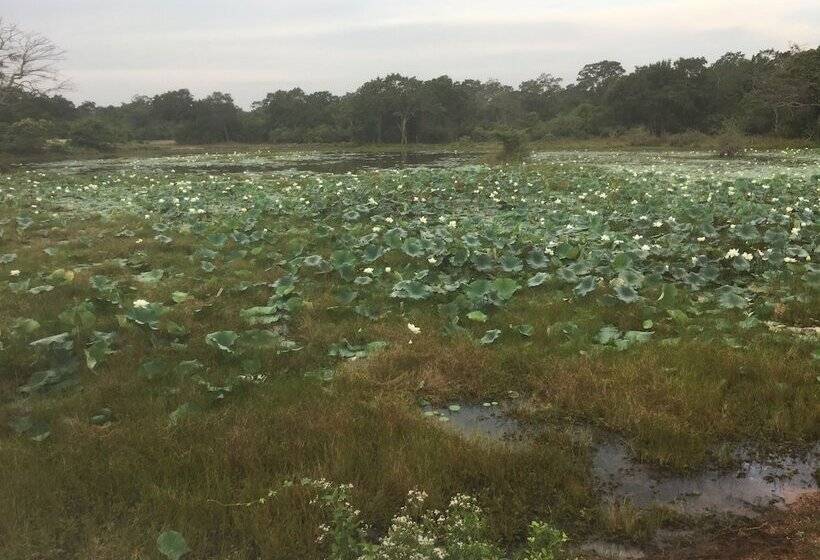 Пансион Ceylon Wilpattu Safaris & Lodging