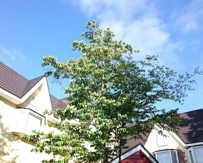 膳宿费 Lake Side Inn Baked Potato