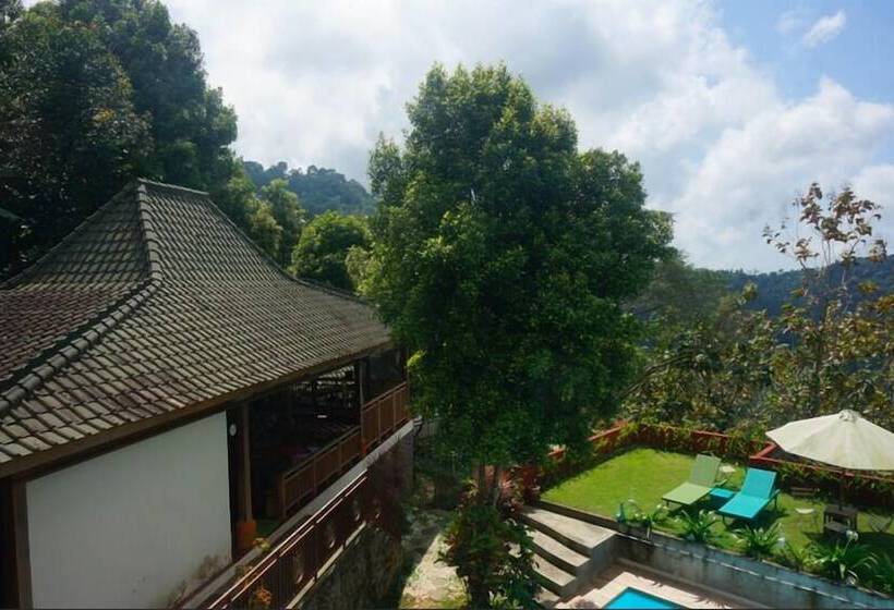 بنسيون Manggis Garden Dive Resort