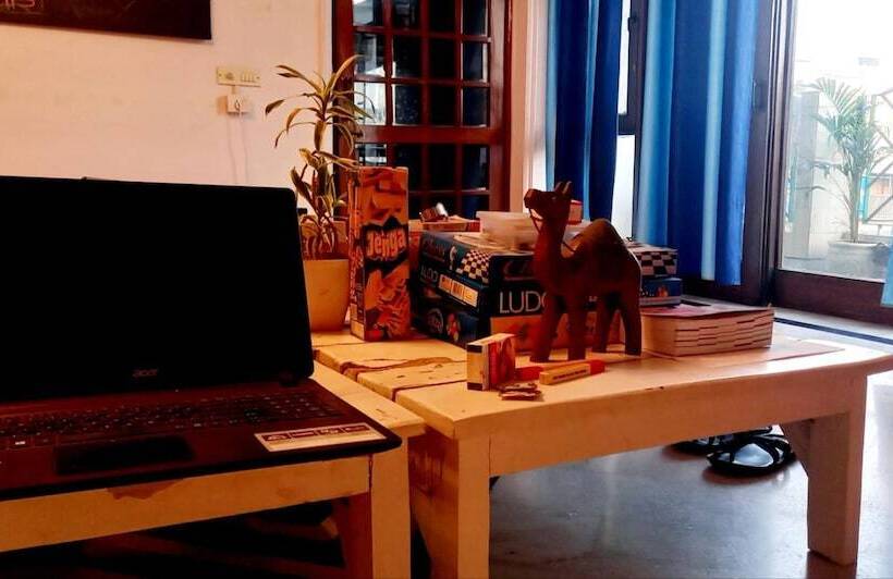 A Sleepy Fox   Hostel