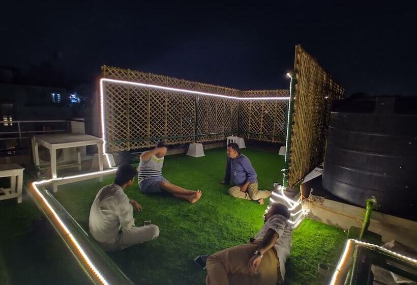 A Sleepy Fox   Hostel