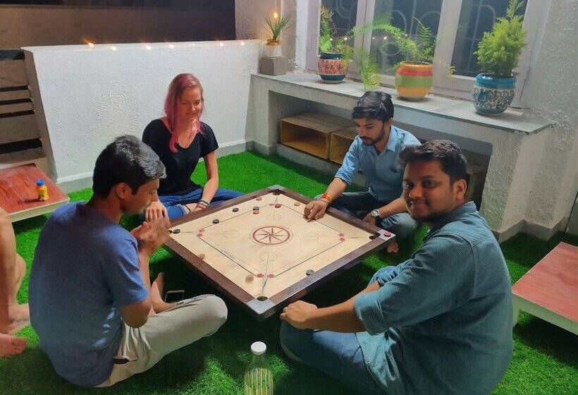 A Sleepy Fox   Hostel