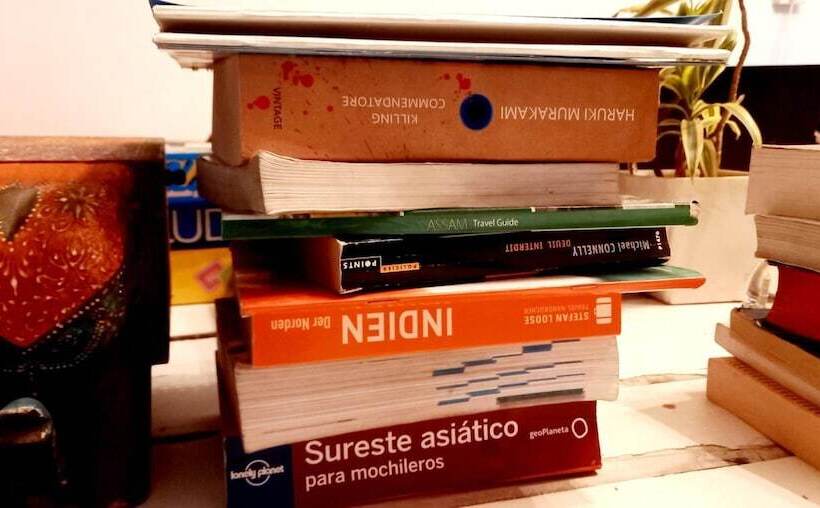 A Sleepy Fox   Hostel