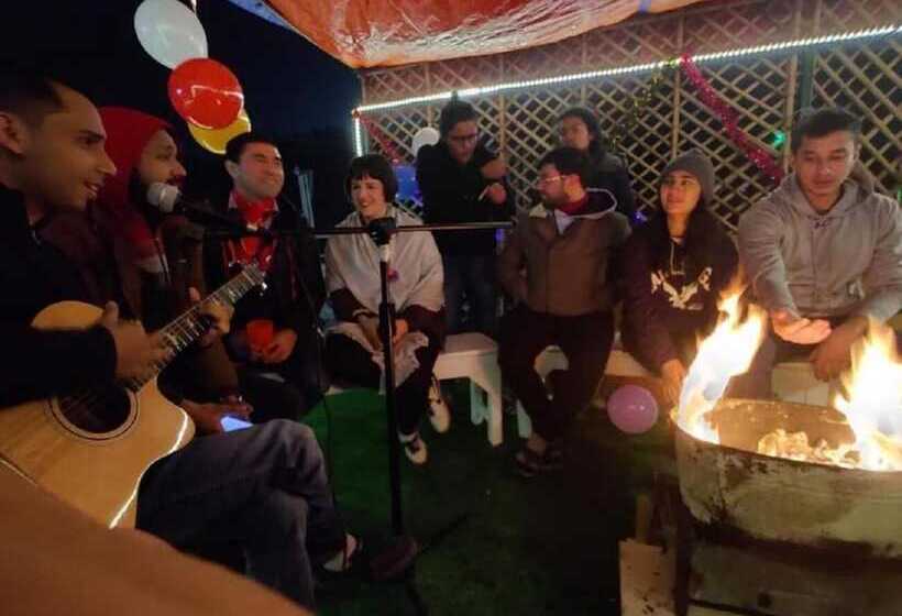 A Sleepy Fox   Hostel