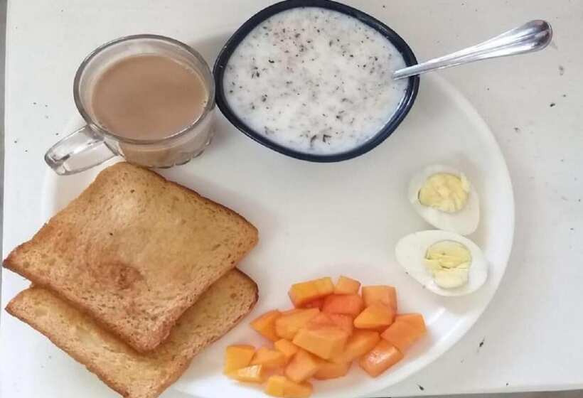 A Sleepy Fox   Hostel